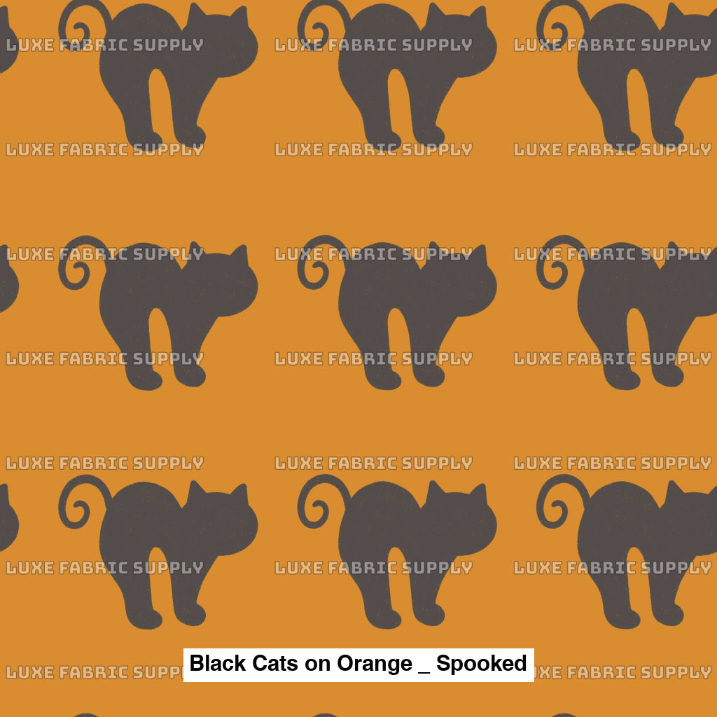 Black Cats On Orange _ Spooked Fvs Catalog