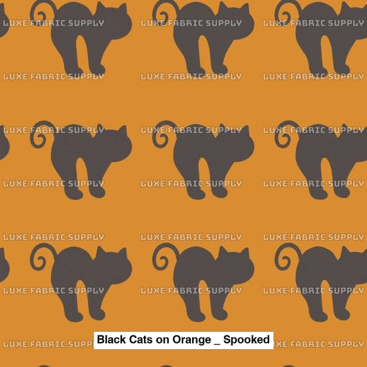 Black Cats On Orange _ Spooked Fvs Catalog