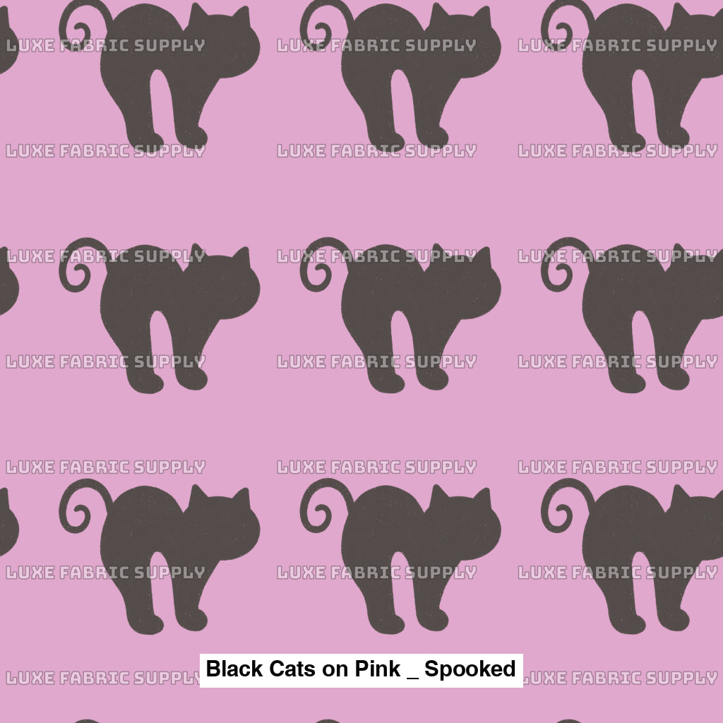 Black Cats On Pink _ Spooked Fvs Catalog