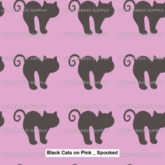 Black Cats On Pink _ Spooked Fvs Catalog