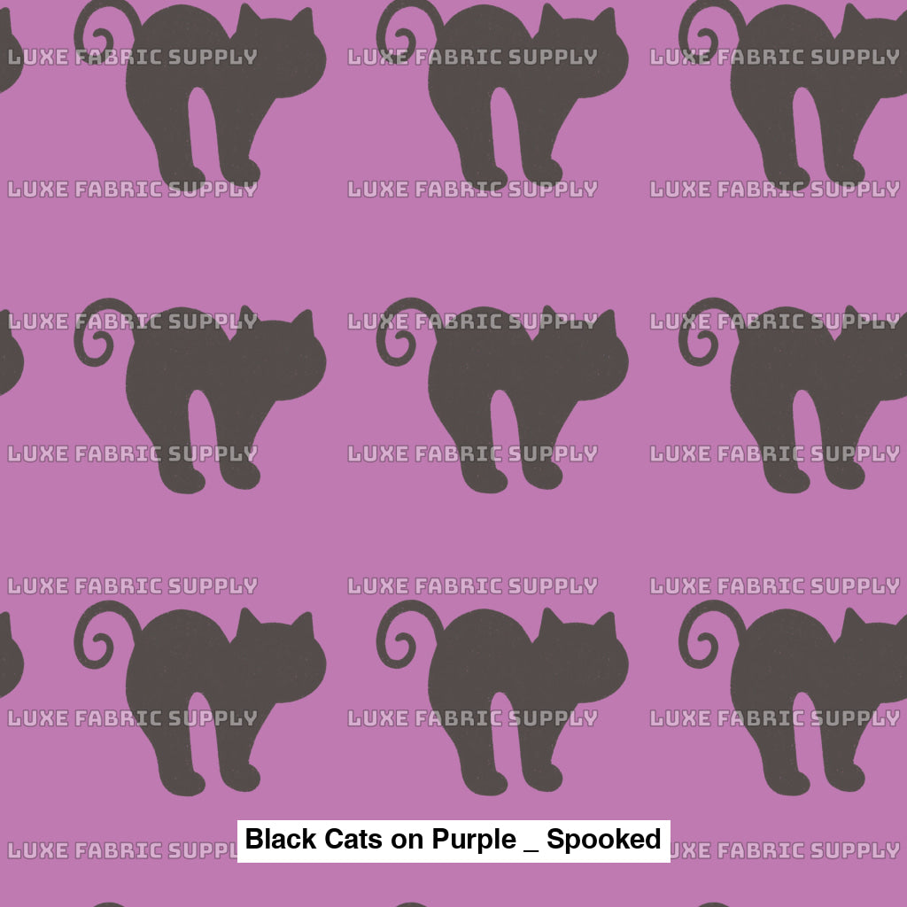 Black Cats On Purple _ Spooked Fvs Catalog