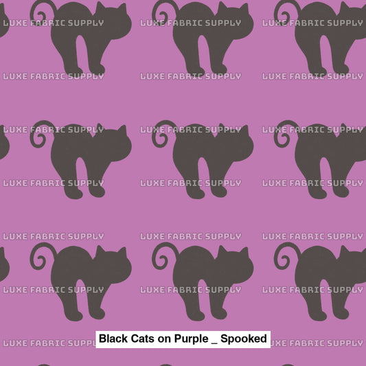 Black Cats On Purple _ Spooked Fvs Catalog