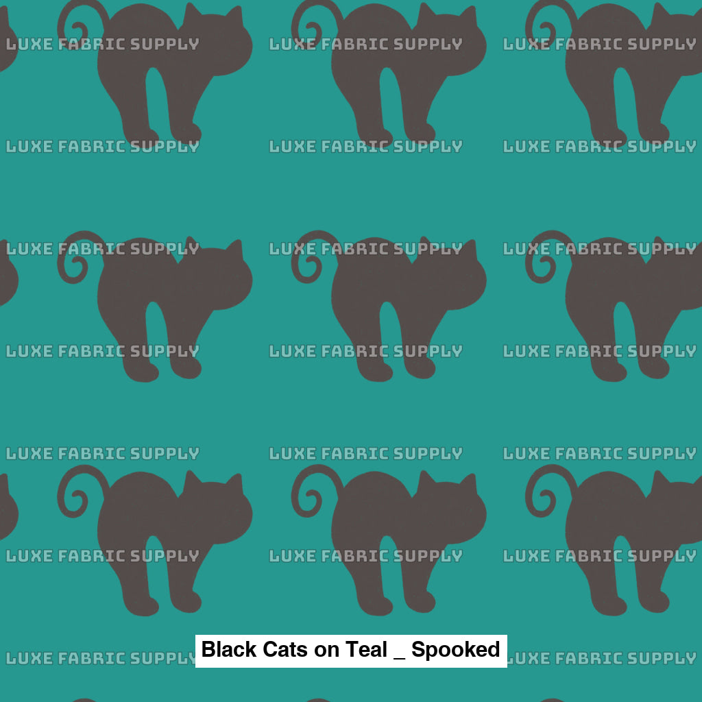 Black Cats On Teal _ Spooked Fvs Catalog