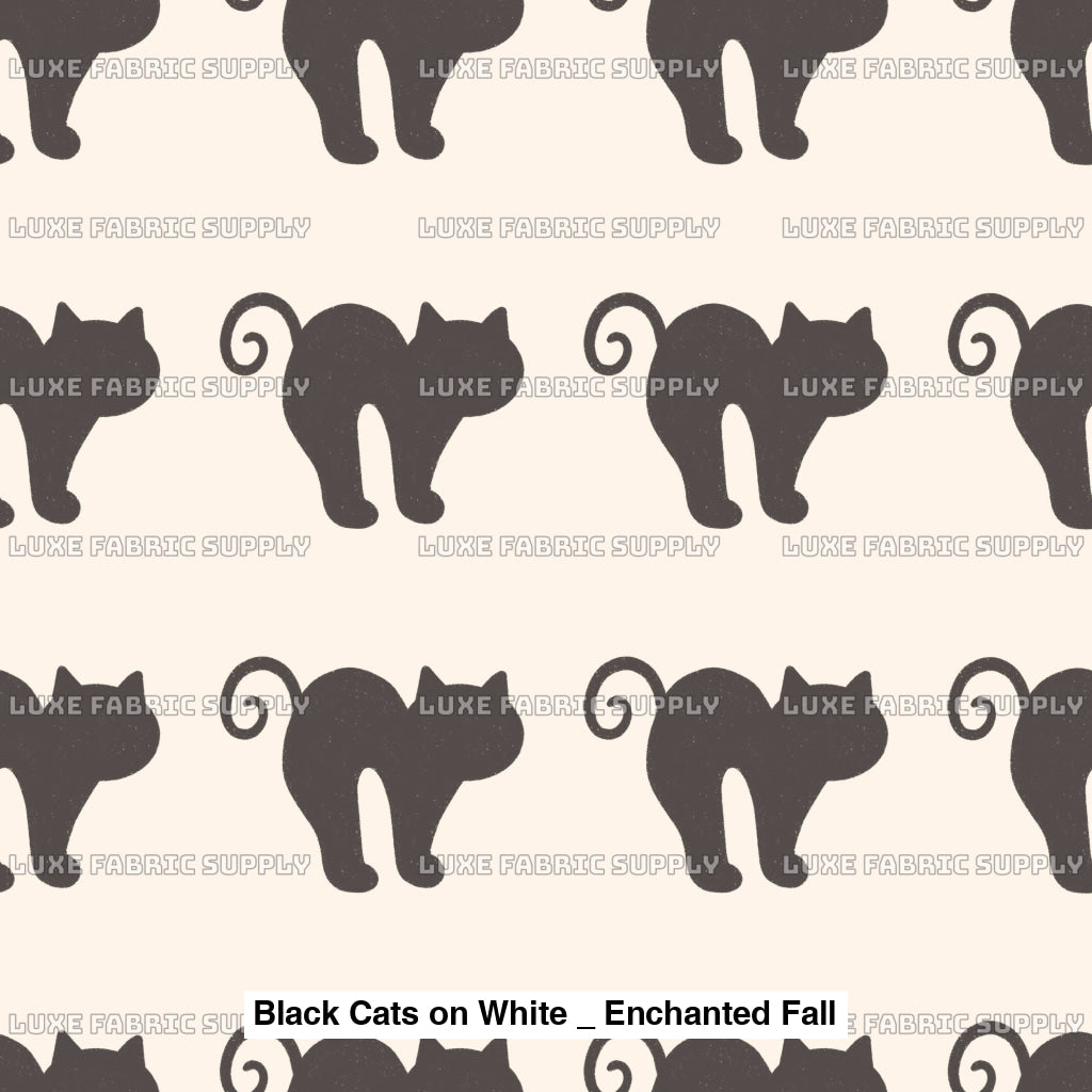 Black Cats On White _ Enchanted Fall Fvs Catalog