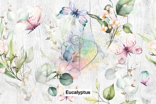 Eucalyptus Lfs Catalog