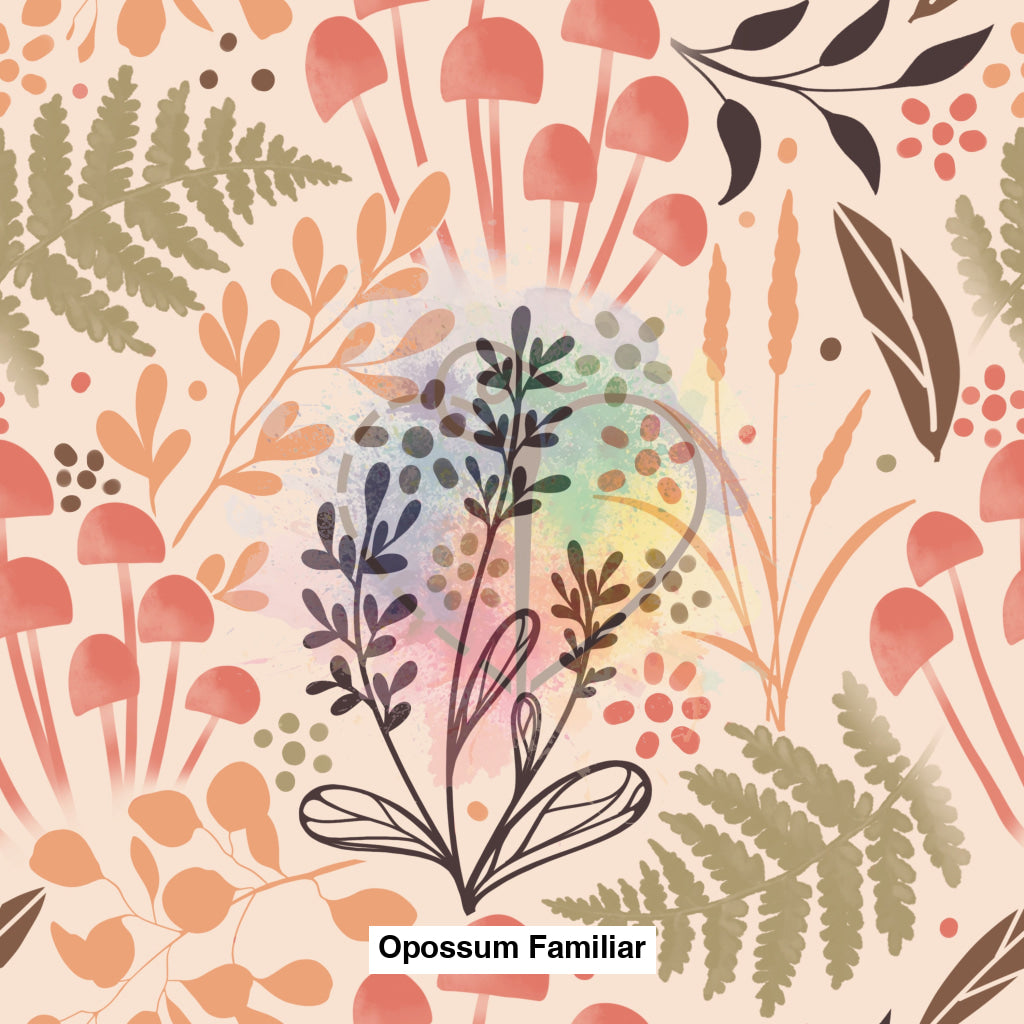 Opossum Familiar Coordinate Lfs Catalog