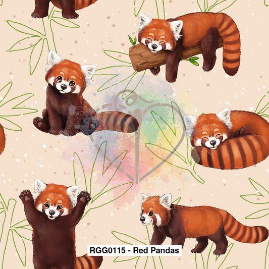 Rgg0115 - Red Pandas