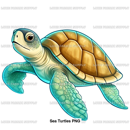 Sea Turtles Png Panel