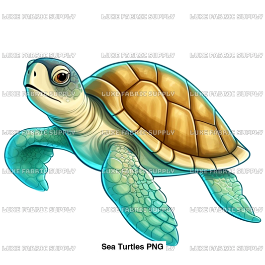 Sea Turtles Png Panel