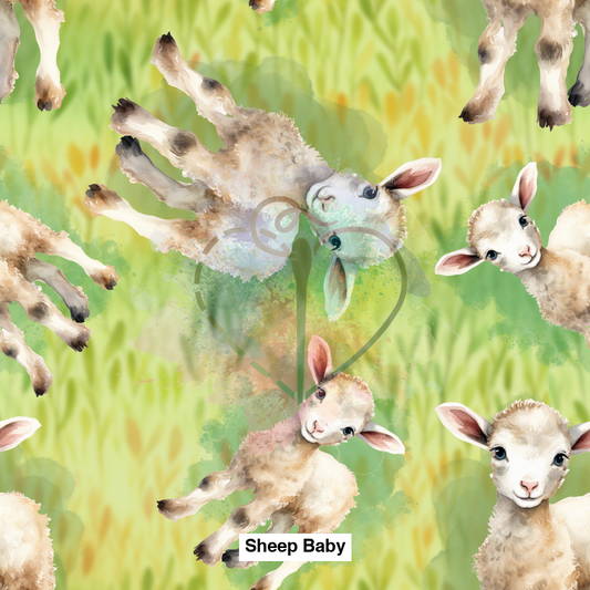 Sheep Baby Lfs Catalog